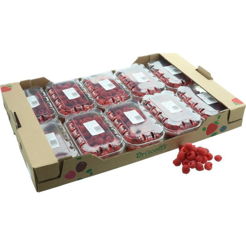 FRAMBOISE DRISCOLLS 10X250G